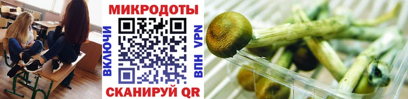 Псилоцибиновые грибы Psilocybe  Подпорожье 